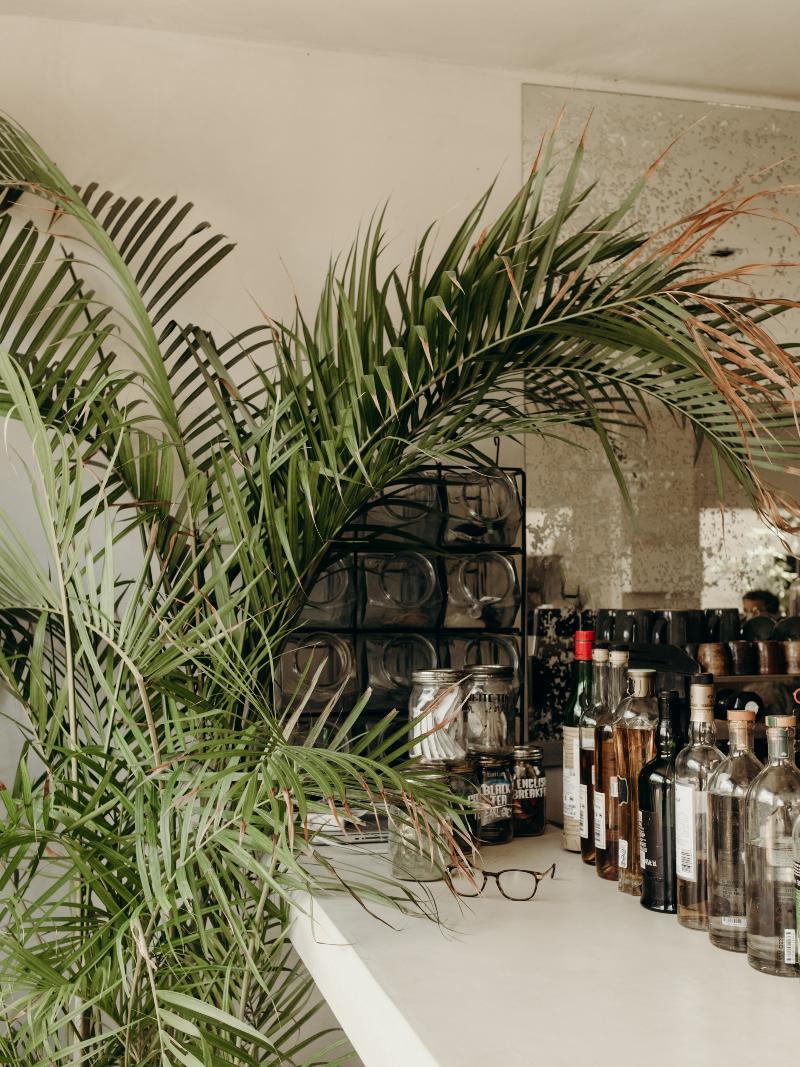 ホテルCasa Pueblo トゥルム エクステリア 写真